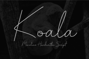 Bring a Personal Touch to Your Brand with Koala Script