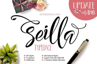 Seilla Script: A Modern Typeface for Creative Design