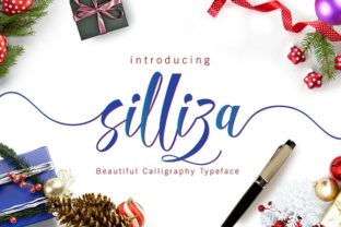 Silliza Script: A Fresh Voice for Your Creative Projects